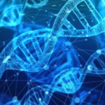 dna maschile nel cervello femminile